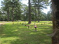 Memory Lawn Cemetery