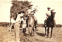 שמירה על סוסים בשדות המושבה, 1944 לערך