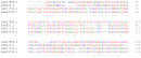 Sequence alignment; salah satu aplikasi dasar bioinformatika. Sekuens biologis yang dianalisis dalam hal ini adalah sekuens asam amino dari empat protein hemoglobin.