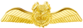 Pilot Badge