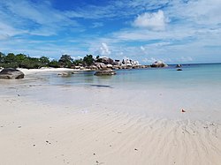 Pantai Tanjung Tinggi