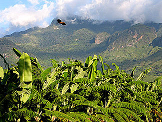 Uluguru-Gebirge bei Morogoro