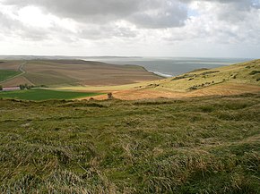 Végétation herbeuse du cap Blanc-Nez.