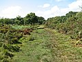 Footpath on Poor's Allotment