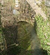 Un bras de la Barse à Vendeuvre-sur-Barse.