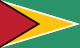 Flag of Guyana