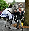 Simonsig in April, 2012