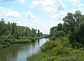 De Biesbosch in Noordwest-Brabant