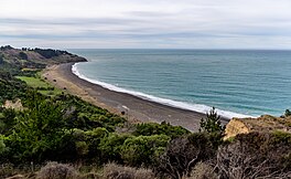 Aerial view of Manuka Bay showing the water body, level ground with trees, and a cloudy sky.