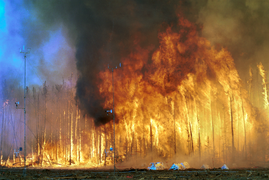 Des scientifiques ont équipé un site de capteurs pour y étudier le feu afin d'en comprendre les processus pour mieux les maîtriser.
