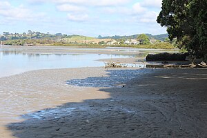 Millwater seen from the Orewa River.