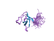 2da9: Solution structure of the third SH3 domain of SH3-domain kinase binding protein 1 (Regulator of ubiquitous kinase, Ruk)