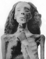 Nedávno identifikovaná mumie Ajovy (pravděpodobné) sestry – královny Teje. Fotografie Graftona Elliota Smitha z roku 1912. Mumie, nalezená v hrobce KV 35 v Údolí králů byla před identifikací známá pod jménem: "Starší dáma". Dnes je uložená v Egyptském muzeu v Káhiře.