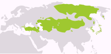 Map of Asia and Europe with Altaic language-speaking areas highlighted in green. Three major areas can be seen, roughly corresponding to Turkey, Central Asia and North Asia, or Northern Russia/Siberia.