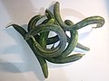 洋越瓜（英语：Armenian cucumber）