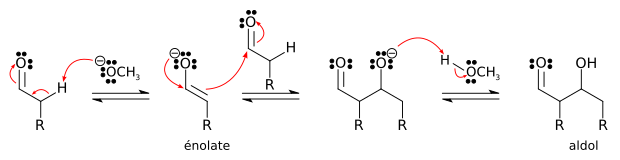 Mécanisme de la réaction d'un aldéhyde avec lui-même en catalyse basique.