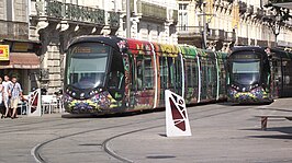 {Trams van lijn 3