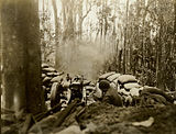 U.S. artillery during the Bougainville counterattack