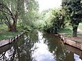 River Lea at Batford Springs