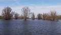 Beuningen, el lago a lo largo del dique