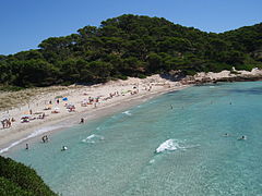 Platja de Binigaus