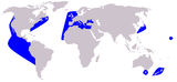 Aire de répartition du Dauphin commun