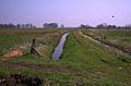 Polderland bij de Hamme (als wetland onder natuurbescherming geplaatst)