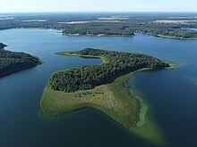 Zdjęcie wykonane z powietrza. Przedstawia największą wyspę jeziora o nazwie Koziniec. Wyspa w całości porośnięta lasem.