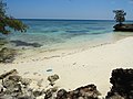 Pantai Liang Kareta di Pulau Pasi