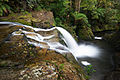 en:Liffey, Tasmania, en:Liffey Falls, en:List of waterfalls of Australia