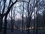 El Central Park tres el tapecer