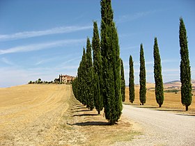 Image illustrative de l’article Val d'Orcia