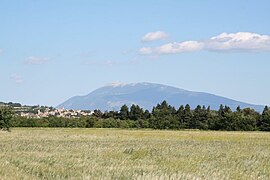 Le Mont Ventoux depuis l'enclave (Visan)