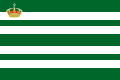 Bandiera militare del re
