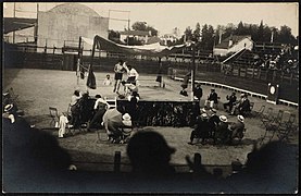 Arènes de la Croix du Prince, juin 1923