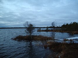 Het Koigi Pikkjärv, ook wel Pitkjärv, een meer in het Koigi soostik