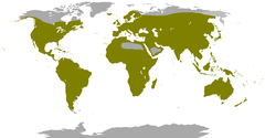Distribuição geográfica da família Columbidae.