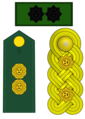 Venezuela: General de División