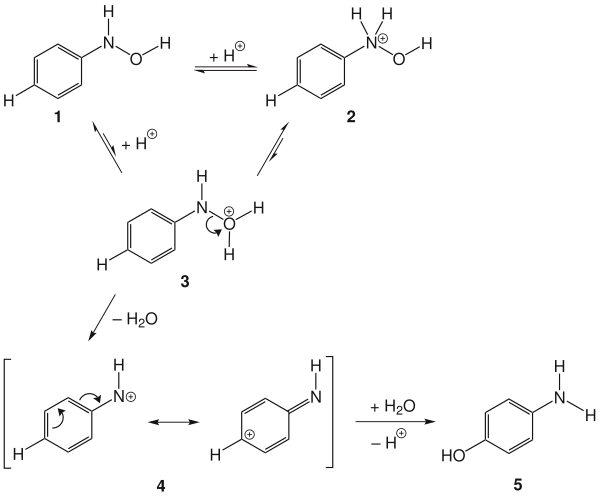 The mechanism of the Bamberger rearrangement