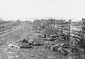 Confederate dead at Antietam 1862 north of the Dunker Church on the west side of the Hagerstown Pike