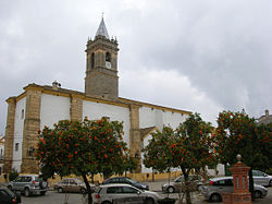 Skyline of El Pedroso