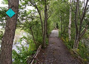 Gångbron till och från Munsön