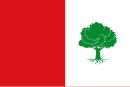 Drapeau de El Peral