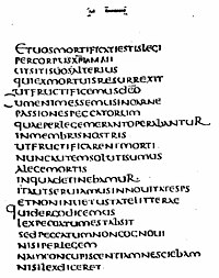 The Latin text of Romans 7:4-7 from Codex Claromontanus