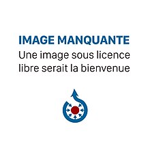 Image illustrative de l’article Régiment de Languedoc-Orléans