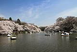 井の頭恩賜公園