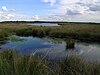 Groote Peel National Park