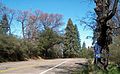 West end at entrance to Palomar Mountain State Park