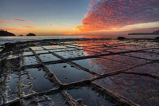 Sunrise over a tessellated pavement, a rare rock formation on the Tasman Peninsula in Tasmania, Australia. Photo by commons:User:JJ Harrison.