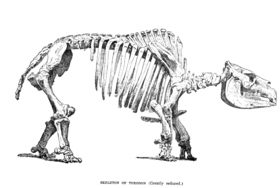 Toxodon